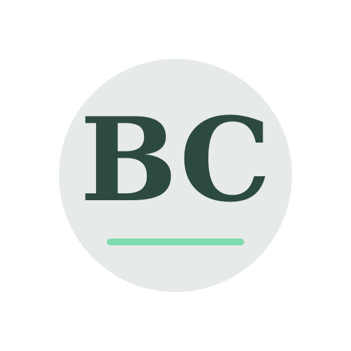 Beler Chimney Repair logo